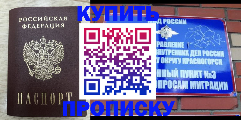 временная регистрация для школы в Апатитах